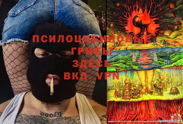 2c-b Алексин