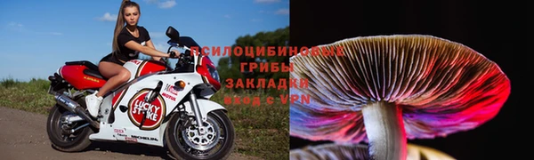 кокаин колумбия Алзамай