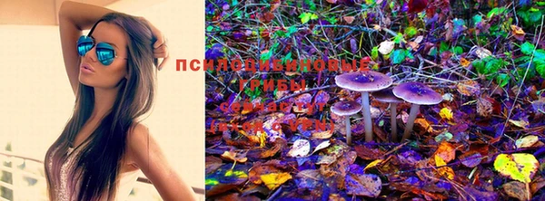 дживик Пестово