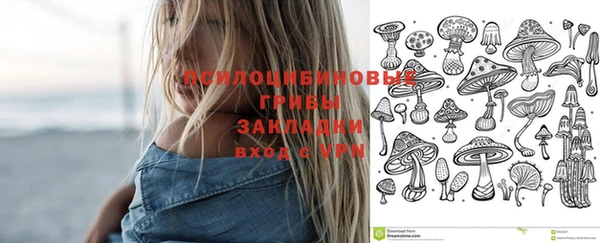 таблы Алексеевка