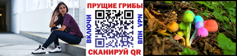 Галлюциногенные грибы Psilocybe  Лагань 